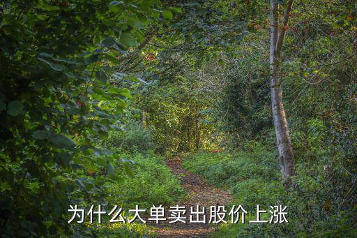 股票为什么有个大单号，有大单买卖代表什么意思