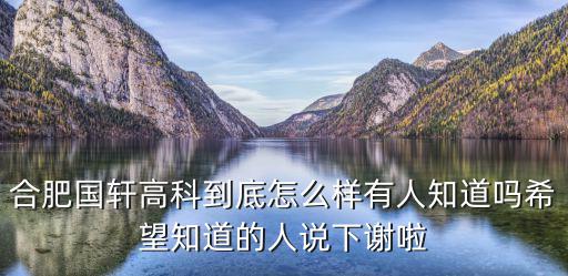 国轩高科股票怎么样，合肥国轩高科动力能源有限公司怎么样