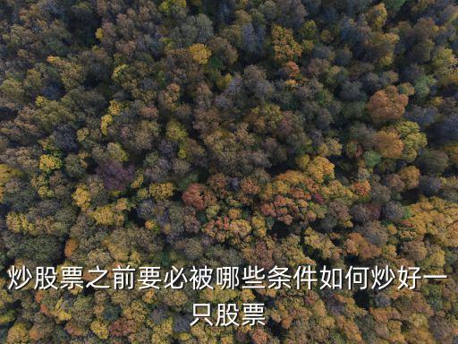 炒股票之前要必被哪些条件如何炒好一只股票