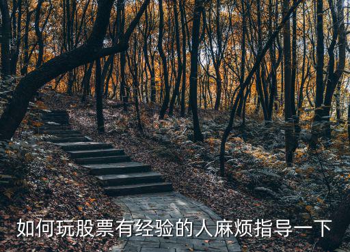 如何玩股票有经验的人麻烦指导一下