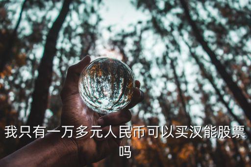 我只有一万多元人民币可以买汉能股票吗