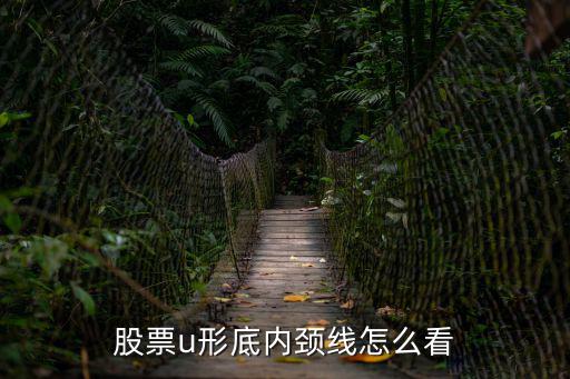 股票u形底内颈线怎么看