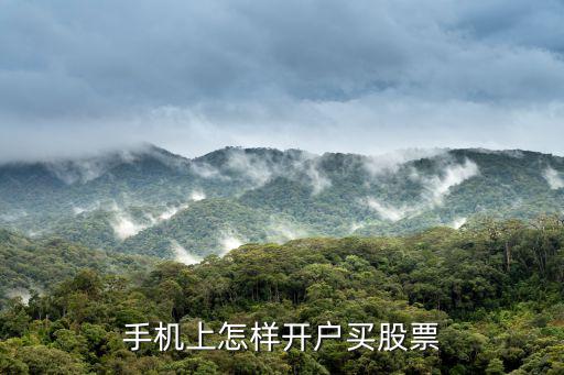 手机上怎样开户买股票