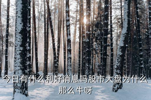 今日有什么利好消息吗股市大盘为什么那么牛呀