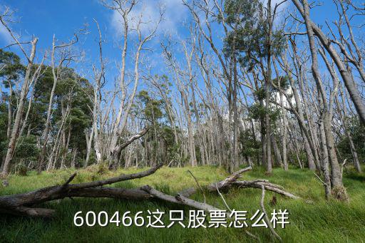 600466这只股票怎么样