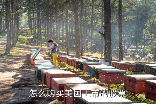 怎么购买美国上市的股票