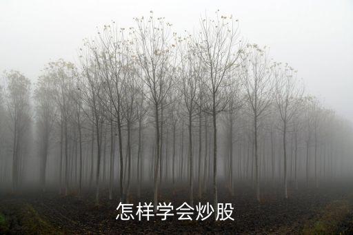 怎样学会炒股