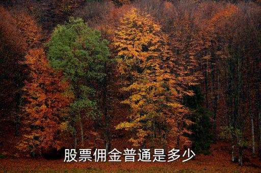 股票佣金普通是多少