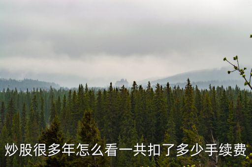 炒股很多年怎么看一共扣了多少手续费