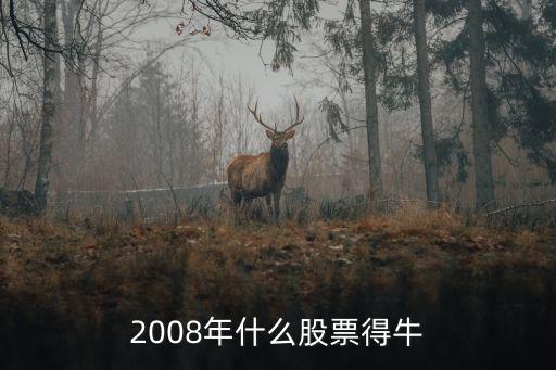 2008年什么股票得牛