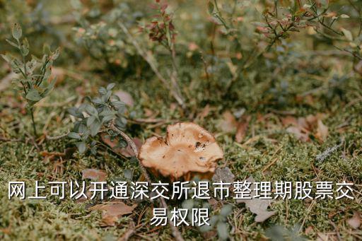网上可以开通深交所退市整理期股票交易权限