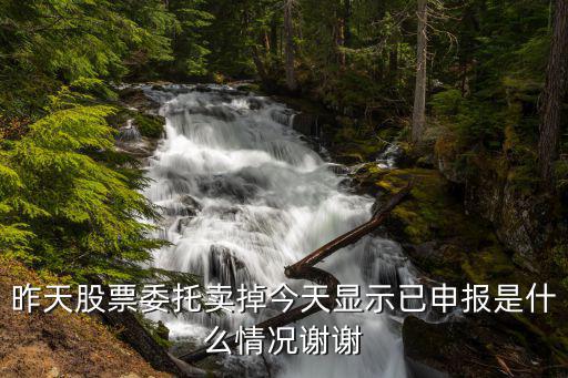 昨天股票委托卖掉今天显示已申报是什么情况谢谢