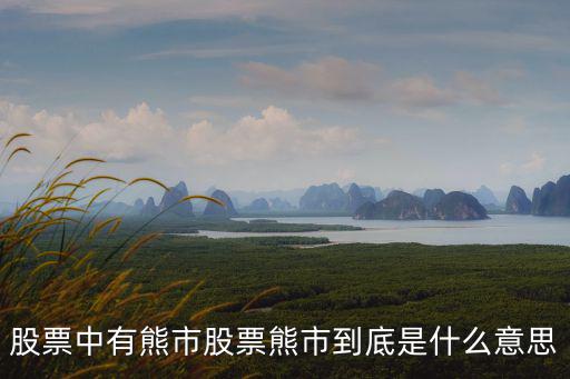 股票中有熊市股票熊市到底是什么意思