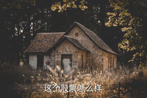 这个股票怎么样