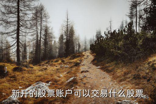 新开的股票账户可以交易什么股票