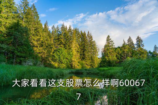 大家看看这支股票怎么样啊600677