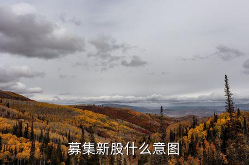 募集新股什么意图