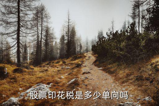 股票的印花税怎么算，股票印花税怎么算
