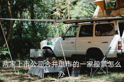 股票合并后怎么办，两家上市公司合并股票怎么处理