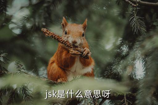 jsk是什么意思呀