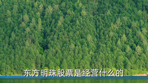 300111股票经营什么，东方明珠股票是经营什么的