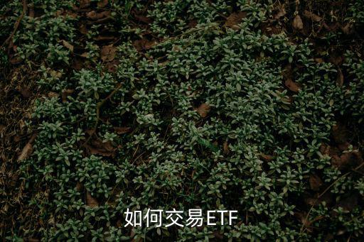 如何交易ETF