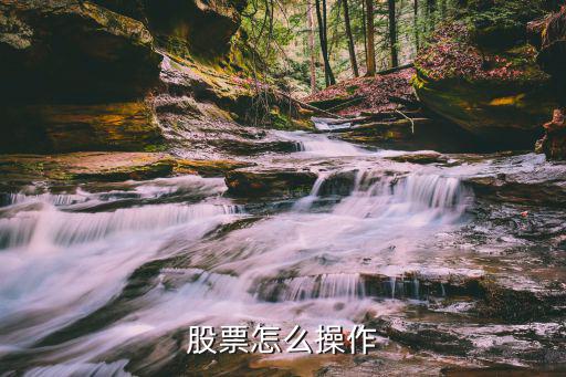 股票怎么操作