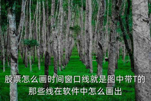 股票怎么画时间窗口线就是图中带T的那些线在软件中怎么画出