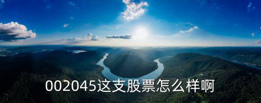002045这支股票怎么样啊