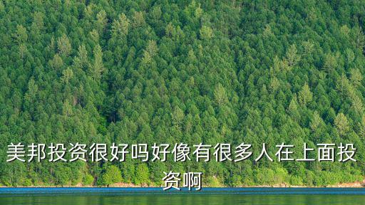 美邦投资很好吗好像有很多人在上面投资啊