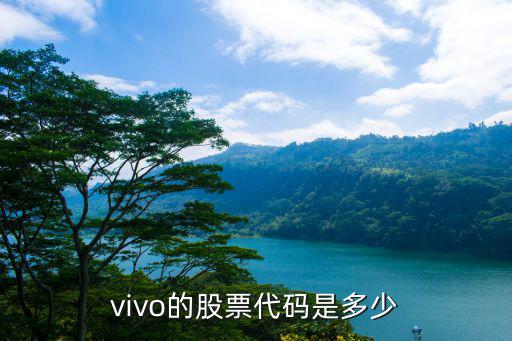 vio股票代码是多少，vivo的股票代码是多少