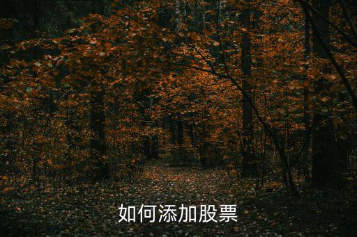 如何添加股票