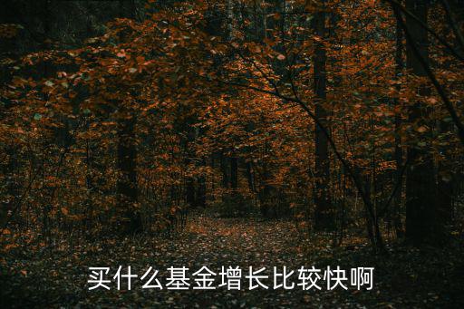 投资什么基金可以增长股票，买什么基金增长比较快啊