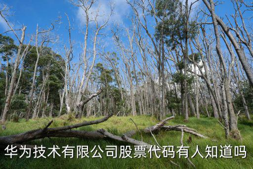 华为技术有限公司股票代码有人知道吗