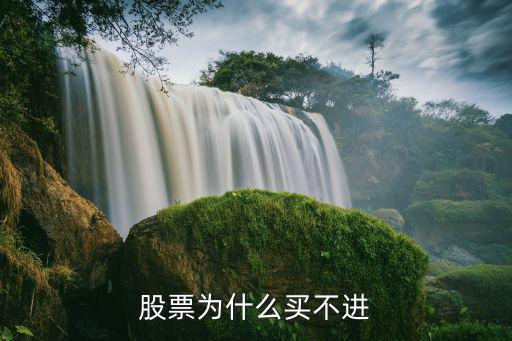 股票为什么买不进