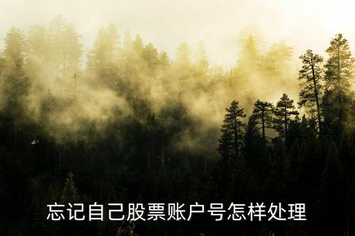 股票的帐号忘了怎么办，财达证券的帐号忘记了怎么办
