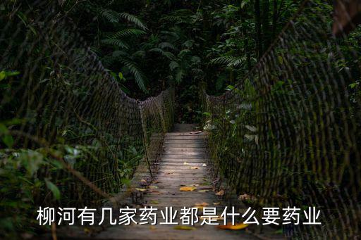 万辰生物是什么股票，柳河有几家药业都是什么要药业
