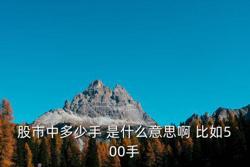 股市中多少手 是什么意思啊 比如500手