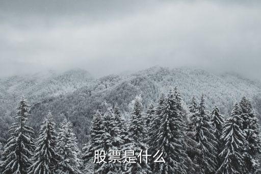 社会公平主题股票是什么，社会公平是什么