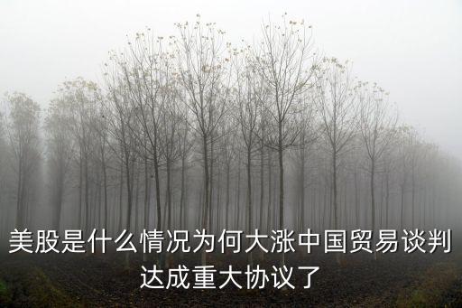 美股是什么情况为何大涨中国贸易谈判达成重大协议了