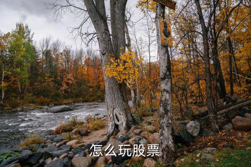 怎么玩股票