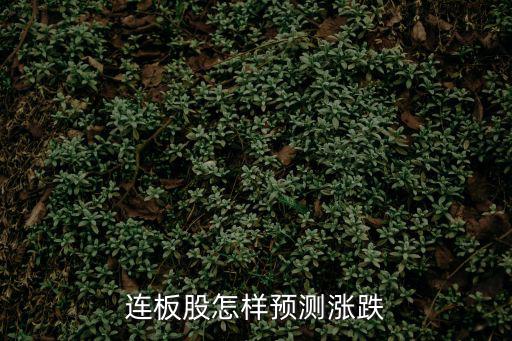 连板股怎样预测涨跌