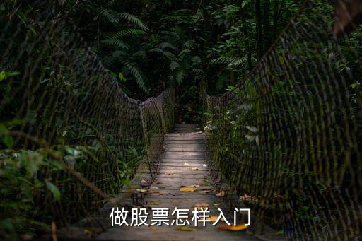 新手怎么入门玩股票，炒股票新手怎么入门