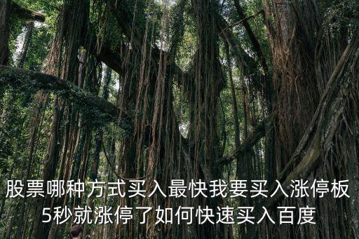 股票哪种方式买入最快我要买入涨停板5秒就涨停了如何快速买入百度