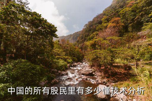中国的所有股民里有多少懂技术分析
