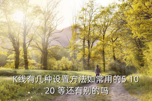 K线有几种设置方法如常用的5 10 20 等还有别的吗