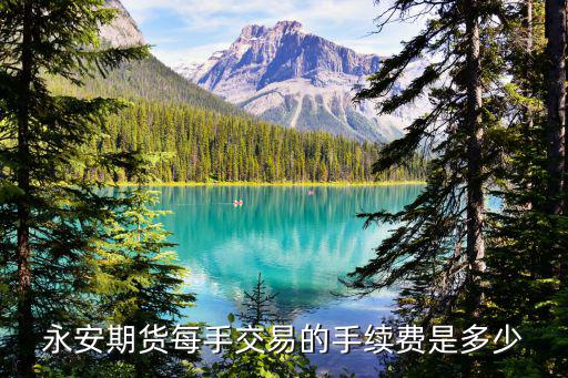 永安期货每手交易的手续费是多少