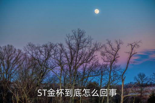 股票金杯是什么意思，ST金杯到底怎么回事