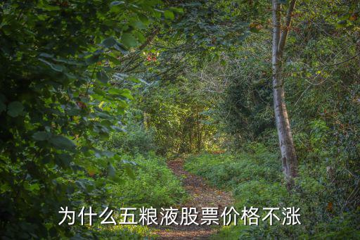 中国白酒股票为什么不涨，为什么五粮液股票价格不涨
