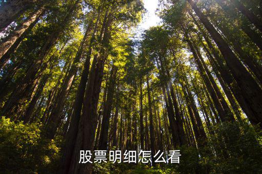 股票明细怎么看，股票明细怎么看